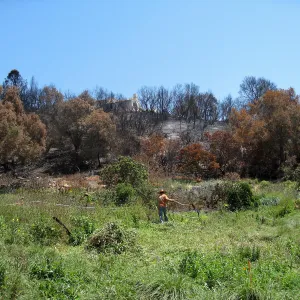 Construction of Herb Parker's â€˜Haven' labyrinth, clearing site in Meadow