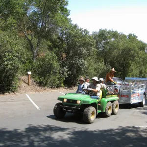 Construction of Herb Parker's â€˜Haven' labyrinth, delivering roof framework to site