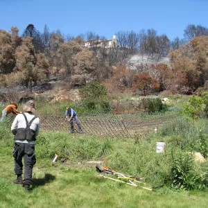 Construction of Herb Parker's â€˜Haven' labyrinth, checking roof framework