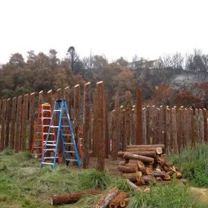 Construction of Herb Parker's â€˜Haven' labyrinth