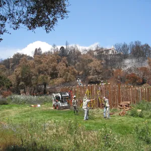 Construction of Herb Parker's â€˜Haven' labyrinth, placing roof structure