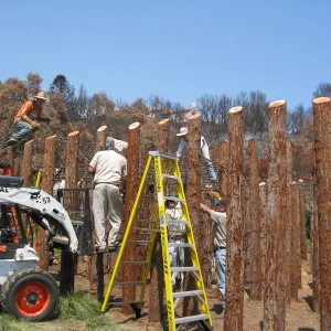 Construction of Herb Parker's â€˜Haven' labyrinth, placing roof structure