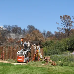 Construction of Herb Parker's â€˜Haven' labyrinth, placing roof structure