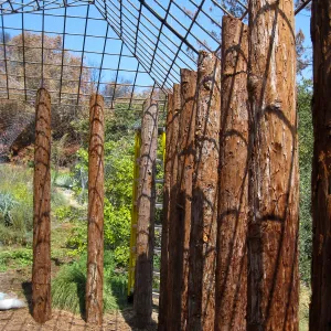 Construction of Herb Parker's â€˜Haven' labyrinth