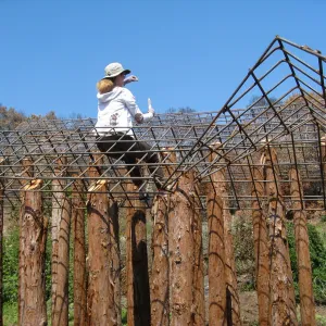 Construction of Herb Parker's â€˜Haven' labyrinth, Lisa Bogart at work