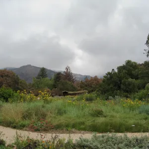 Herb Parker's â€˜Haven' labyrinth