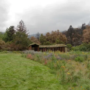 Herb Parker's â€˜Haven' labyrinth