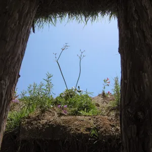 Herb Parker's â€˜Haven' labyrinth