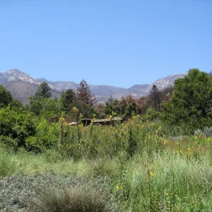 Herb Parker's â€˜Haven' labyrinth