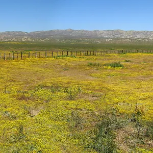 Carrizo Plains Panorama, Finalist in 2011 Photo Contest in Landscape category