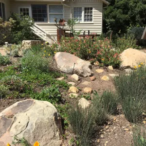 Water Wise Home Garden