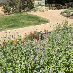 Water Wise Home Garden