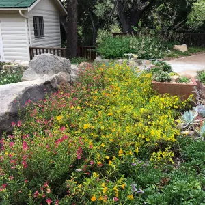 Water Wise Home Garden