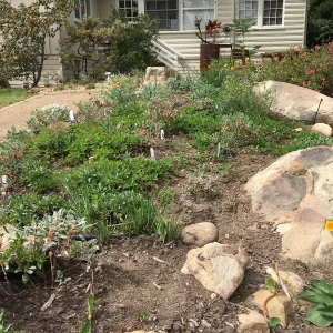 Water Wise Home Garden