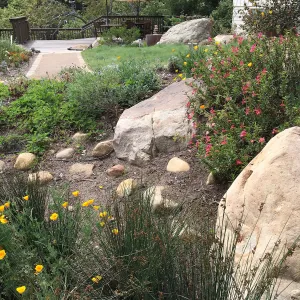 Water Wise Home Garden