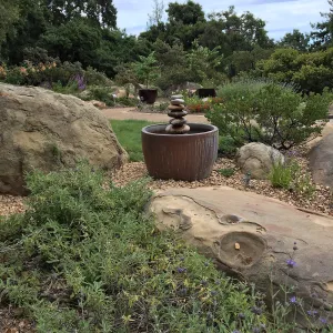 Water Wise Home Garden