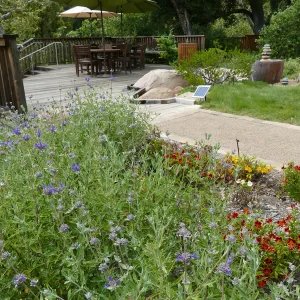 Water Wise Home Garden