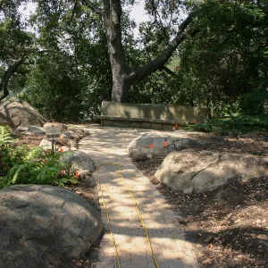 Native California Orchid Display Construction