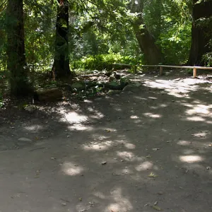 Redwood Section