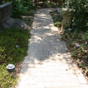 Home Demonstration Garden
