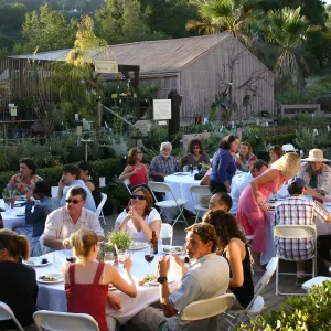 The Progressive Garden, a progressive dinner hosted by Ann and Fife Symington