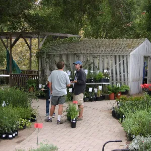 2007 Fall Plant Sale Member Preview Party