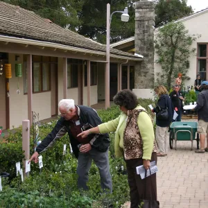 2007 Fall Plant Sale Member Preview Party