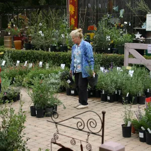 2007 Fall Plant Sale Member Preview Party