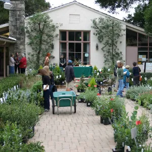 2007 Fall Plant Sale Member Preview Party