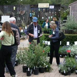 2007 Fall Plant Sale Member Preview Party