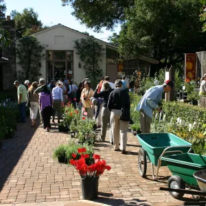 2007 Fall Plant Sale