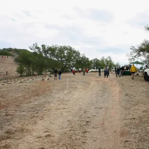 Torrey Pines for Tomorrow Restoration Project Dedication