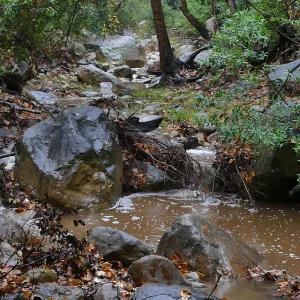 Mission Creek at lower crossing during rainstorm