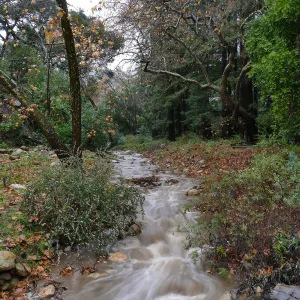 Mission Creek above Mission Dam during rainstorm