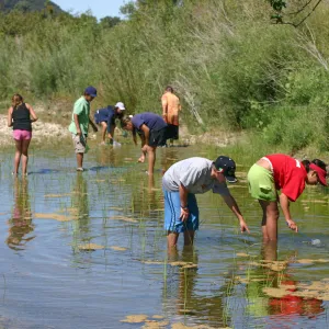 FamCamp 2005, Finding stream creatures