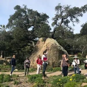 Herbal Medicine Walk: Respiratory System with Emily Sanders