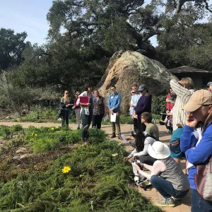 Herbal Medicine Walk: Respiratory System with Emily Sanders