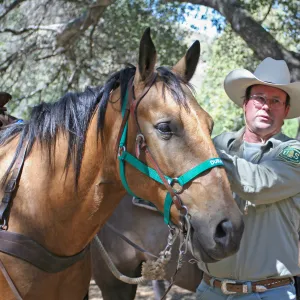 FamCamp 2008, Horse & rider
