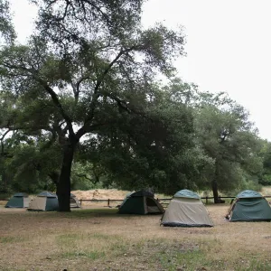 FamCamp 2009