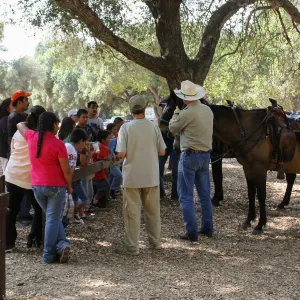 FamCamp 2009, Horses