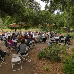 Volunteer Luncheon 2019