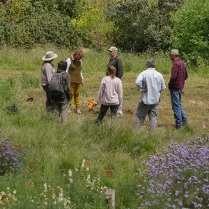 Horticulture staff in Meadow