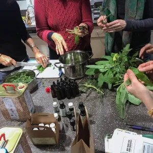 Emily Sanders Winter Wellness Medicine Making Workshop
