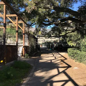 Shadow patterns at the Arbor Terrace