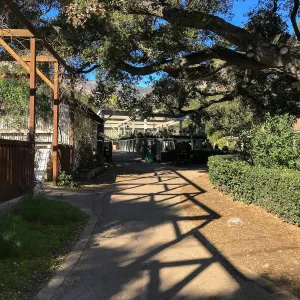 Shadow patterns at the Arbor Terrace