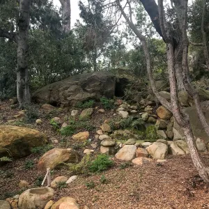ShinKanAn Teahouse Garden