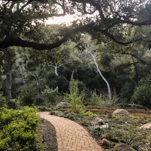 Campbell Trail meanders through the Wooded Dell
