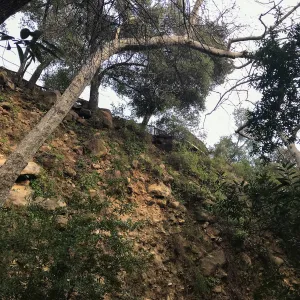 Canyon wall below the Cottage