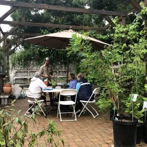 Create Your Own Container Garden taught by Patrick Wiley