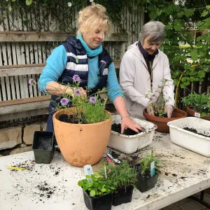 Create Your Own Container Garden taught by Patrick Wiley